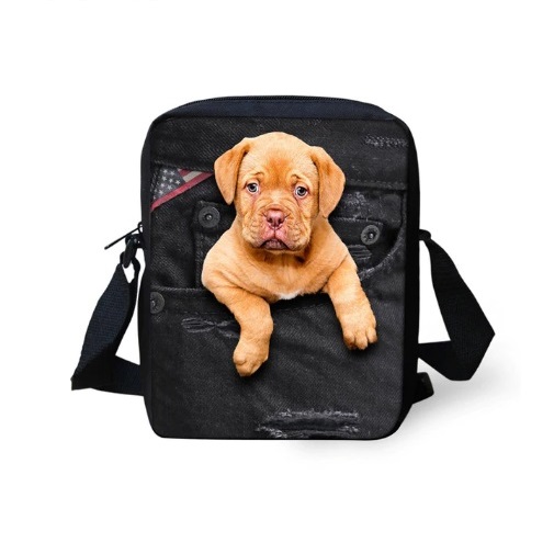 BPack-DG1