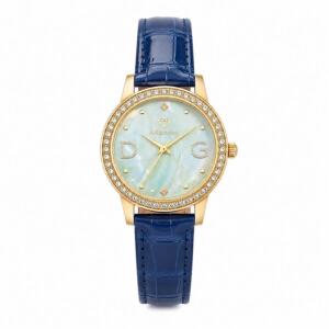 Classic Women's Designer Blue Strap Analog Watch